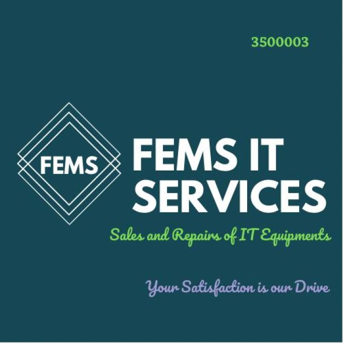 FEMS IT SERVICE