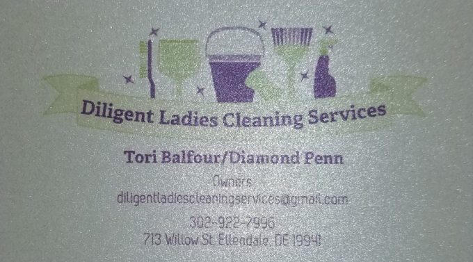 Diligent Ladies Cleaning Services